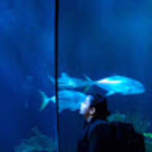 Meet your Posher, Darlene